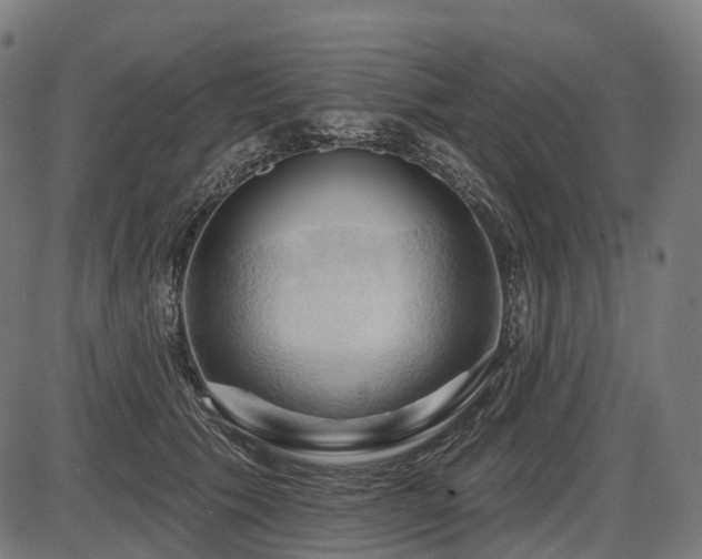 X0000087530609200704271209