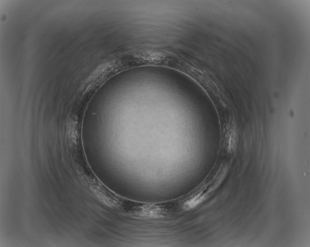 X0000087530612200704271208