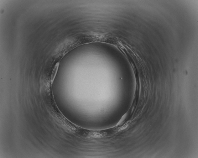 X0000087530613200704271208
