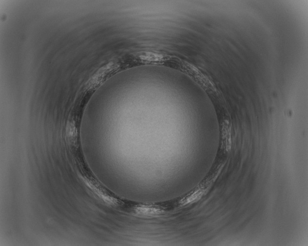 X0000087530614200704271208