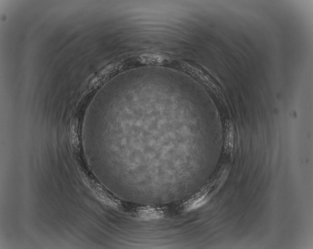 X0000087530616200704271208