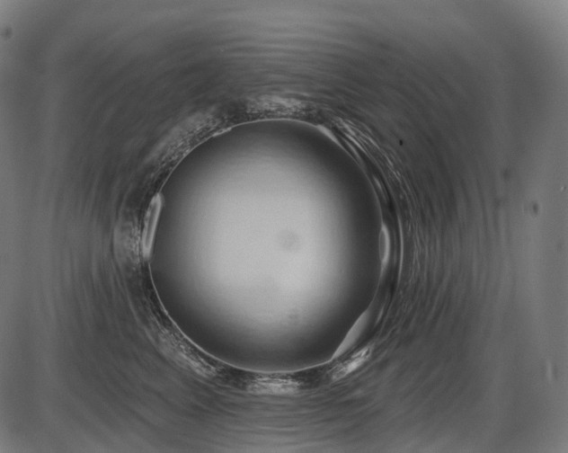 X0000087530617200704271208