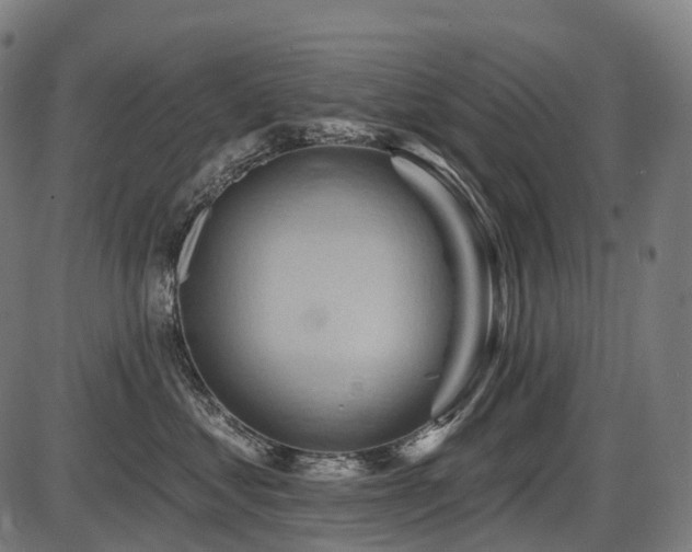 X0000087530621200704271208