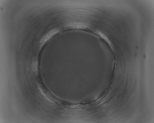 X0000087530627200704271208