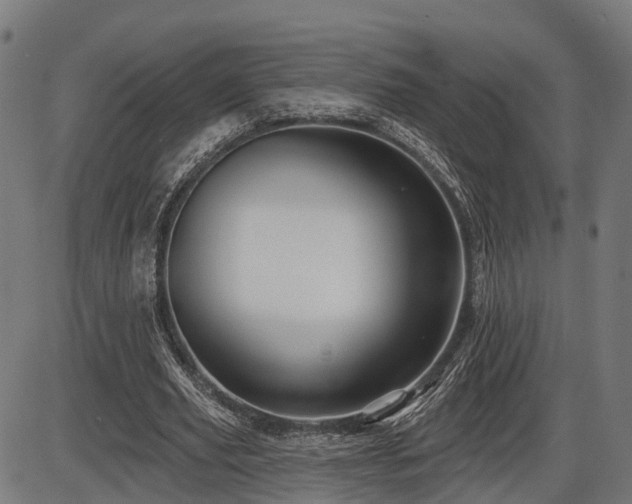 X0000087530629200704271208