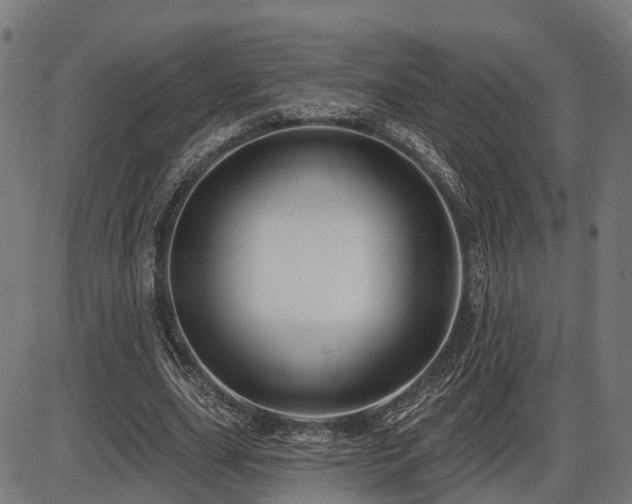 X0000087530631200704271208