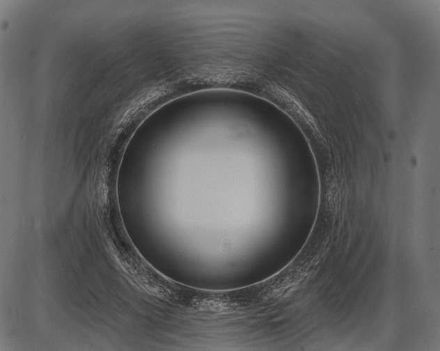 X0000087530635200704271208