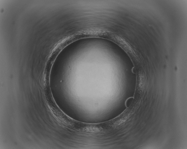 X0000087530636200704271208