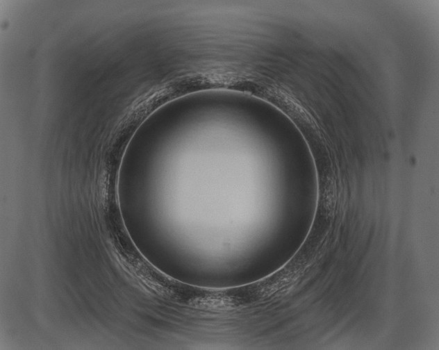 X0000087530639200704271208