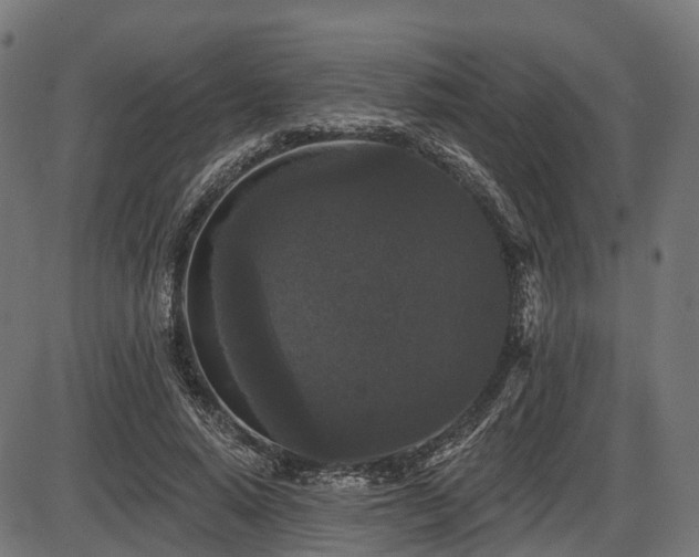 X0000087530640200704271208
