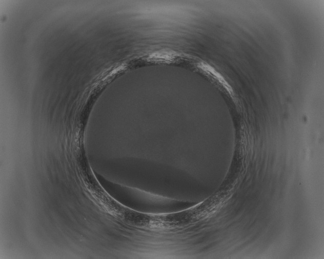 X0000087530641200704271208