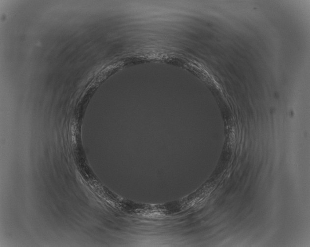 X0000087530643200704271208