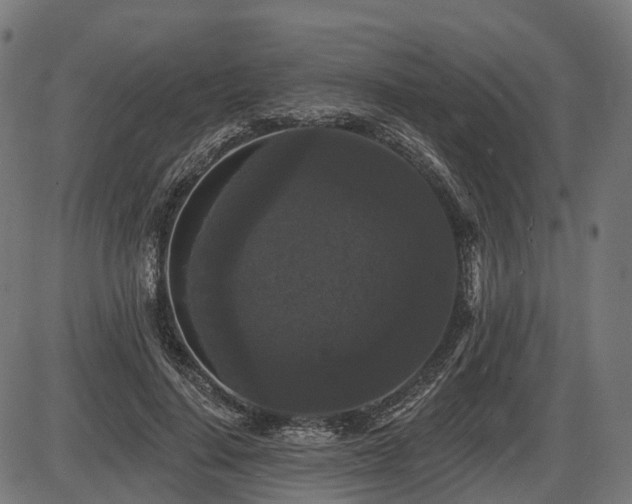 X0000087530644200704271208