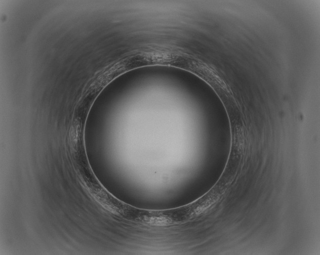 X0000087530645200704271208