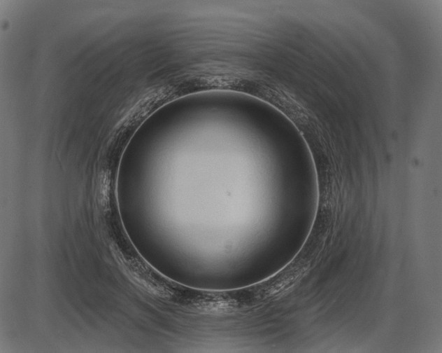 X0000087530646200704271208