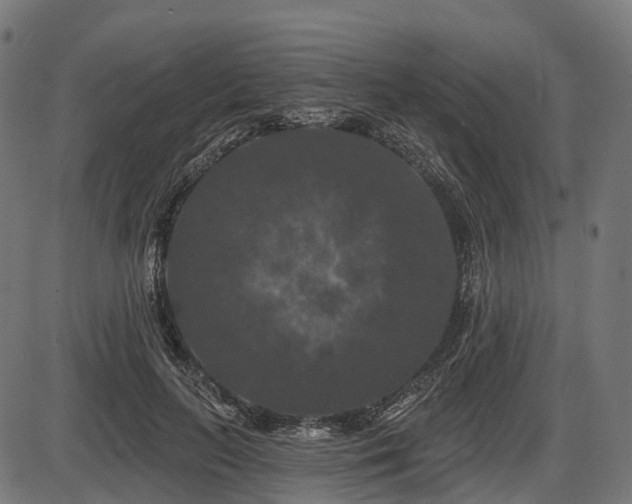 X0000087530647200704271208