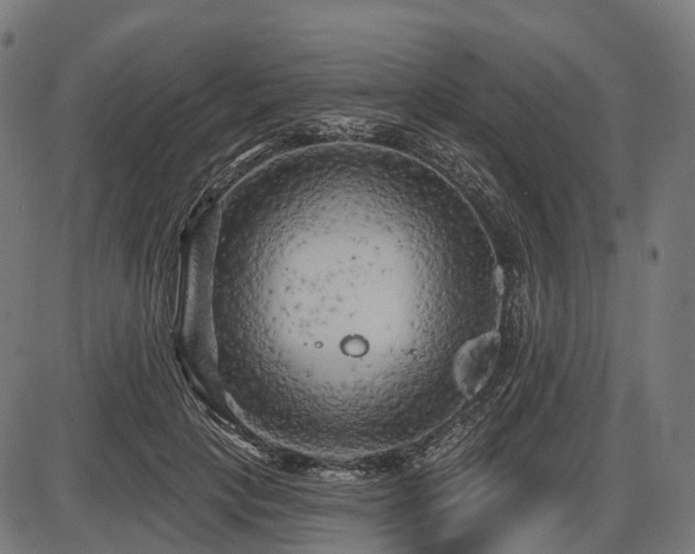 X0000087530649200704271208