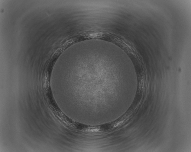 X0000087530651200704271208