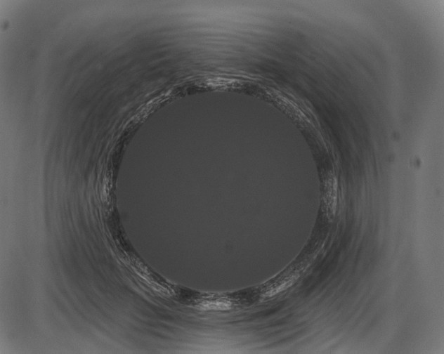 X0000087530653200704271208