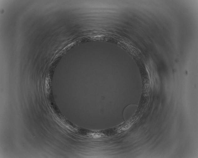 X0000087530654200704271208