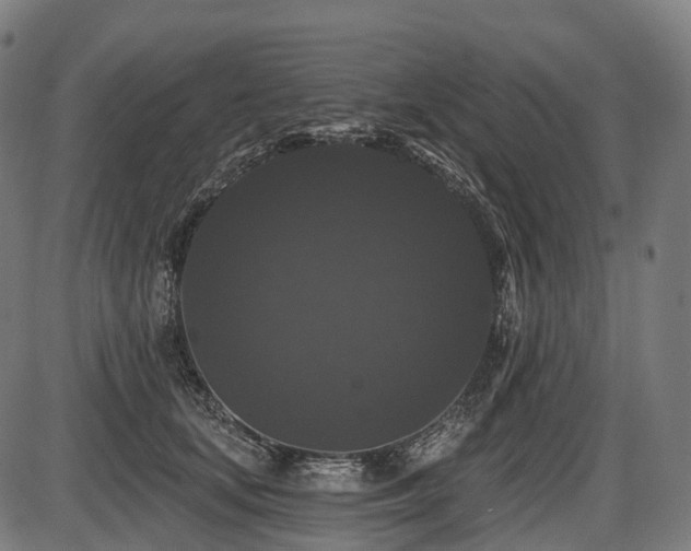 X0000087530659200704271208