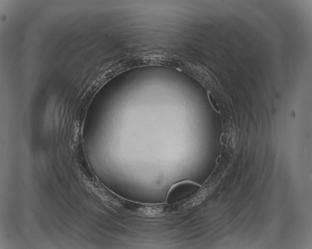 X0000087530660200704271208