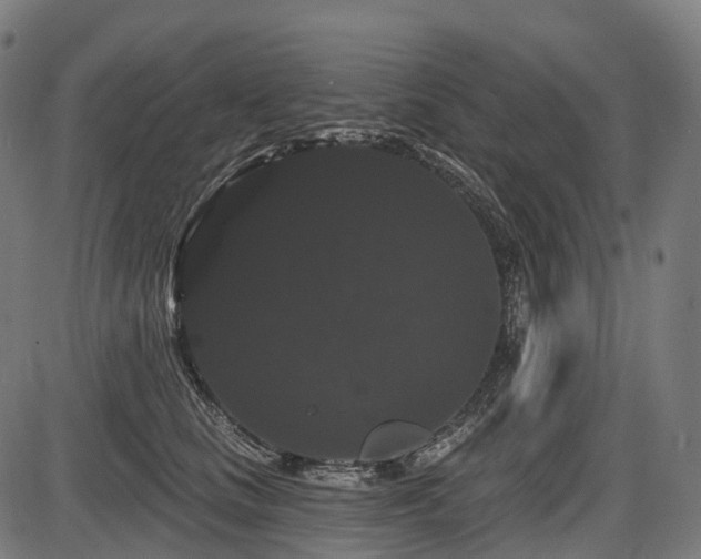 X0000087530661200704271208