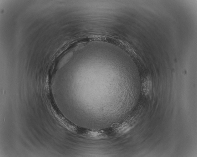 X0000087530662200704271208