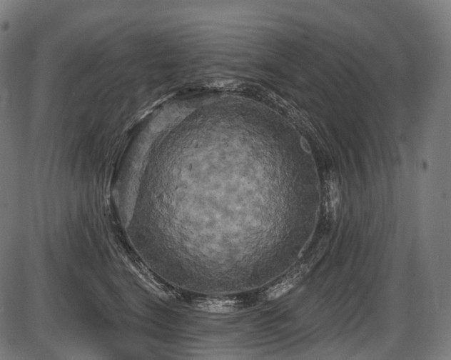 X0000087530664200704271208