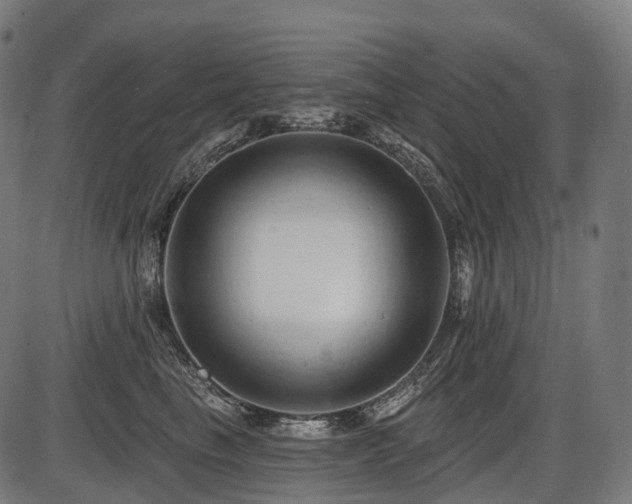 X0000087530665200704271208