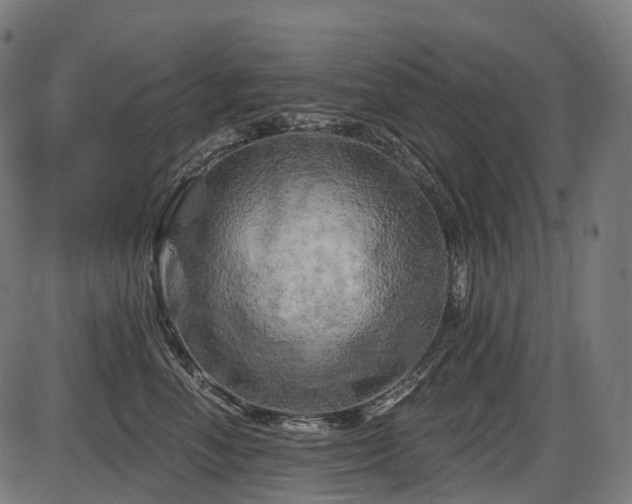 X0000087530666200704271208