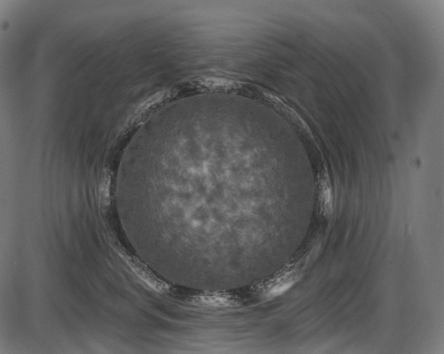 X0000087530668200704271208