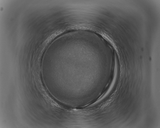 X0000087530673200704271207