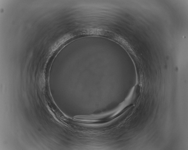 X0000087530674200704271207