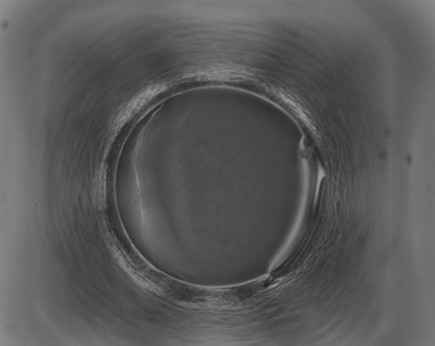 X0000087530678200704271207