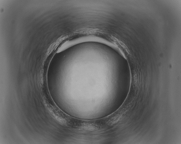 X0000087530682200704271207