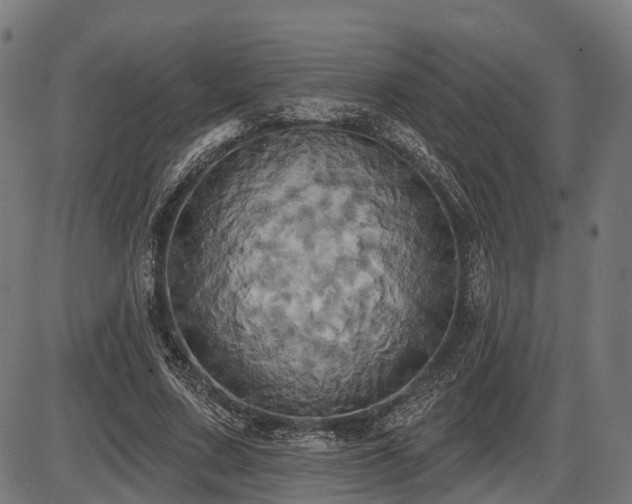 X0000087530683200704271207