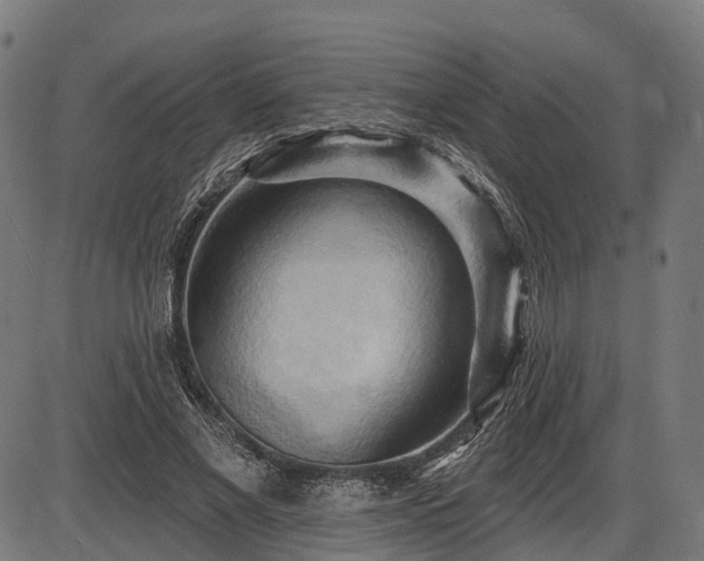 X0000087530685200704271207