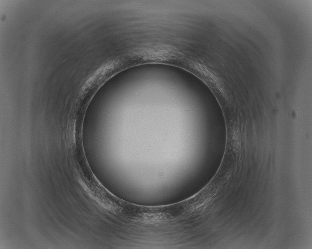 X0000087530686200704271207