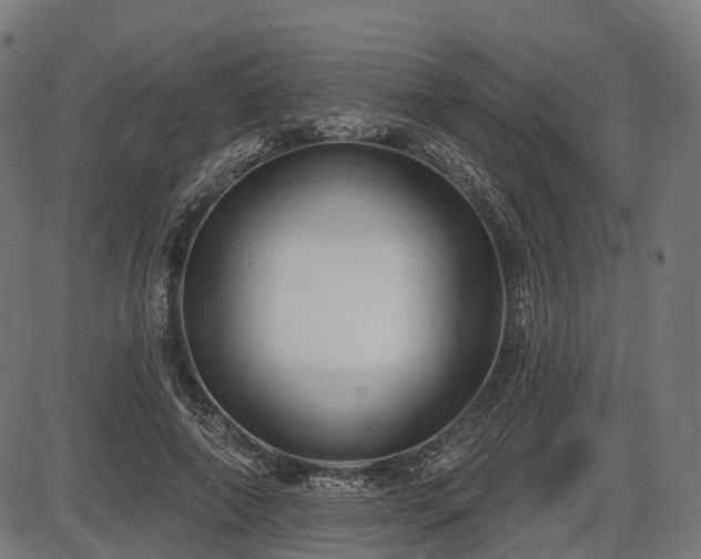 X0000087530690200704271207