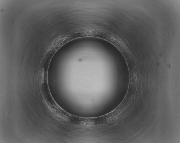 X0000087530694200704271207