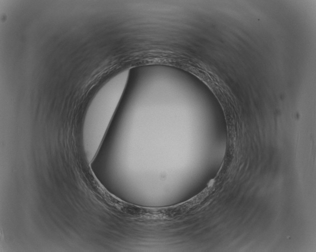 X0000087530696200704271207