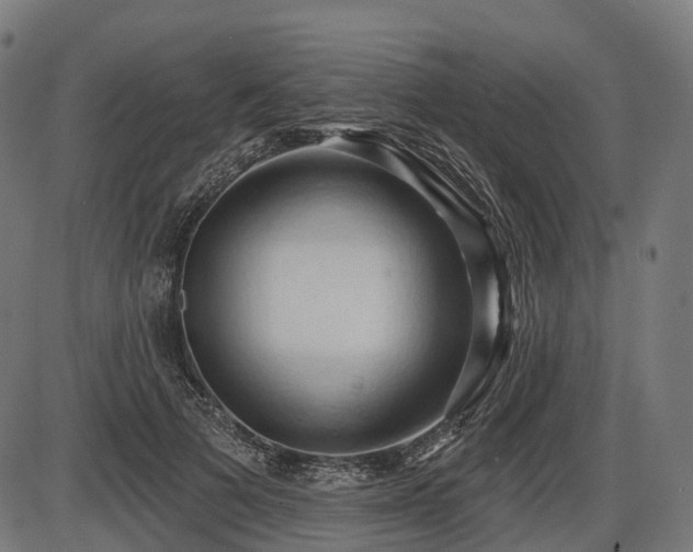 X0000087530697200704271207