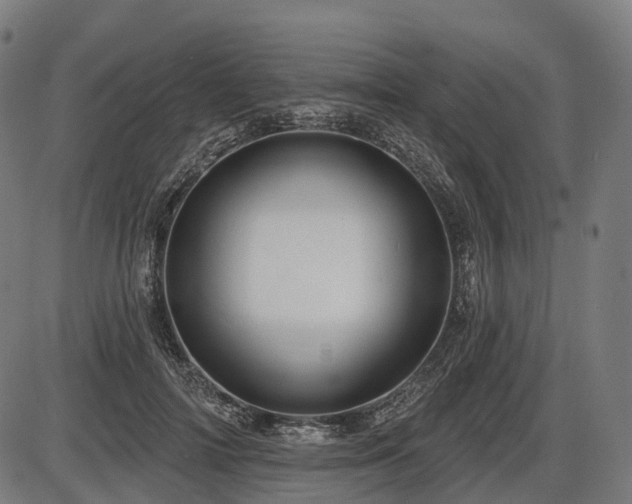 X0000087530698200704271207