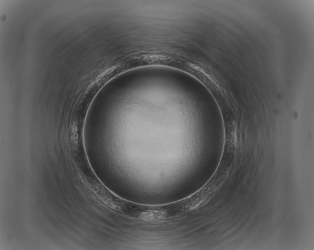 X0000087530700200704271207