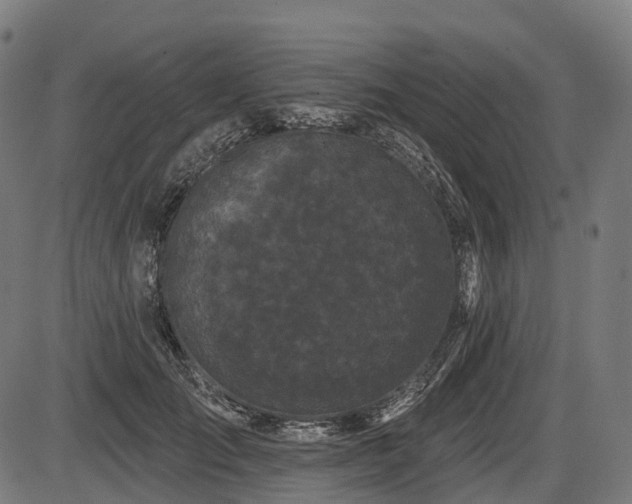 X0000087530701200704271207