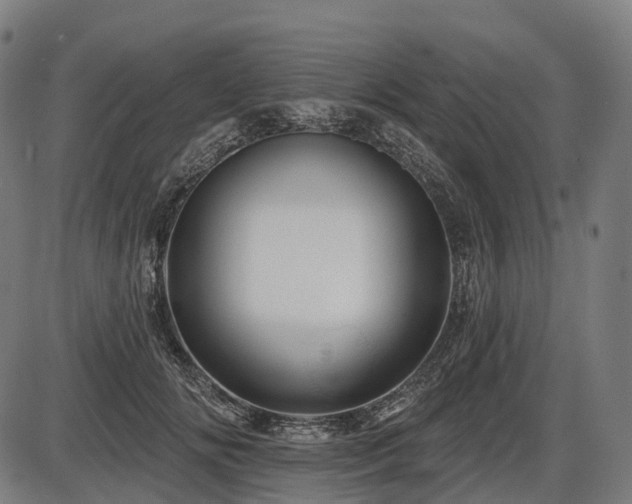 X0000087530702200704271207