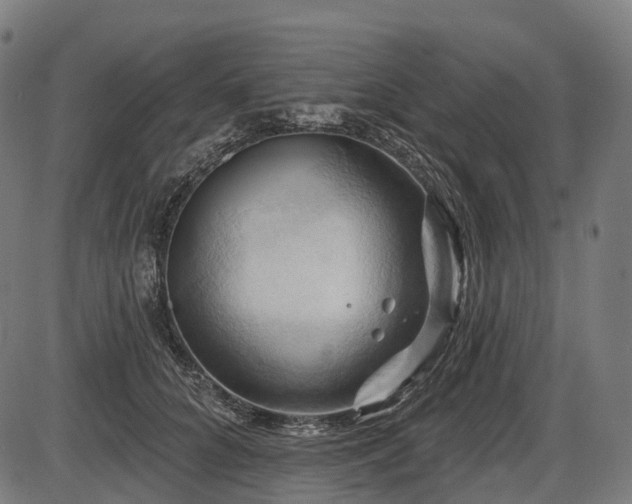X0000087530704200704271207