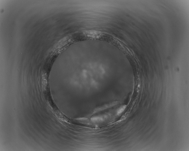 X0000087530707200704271207