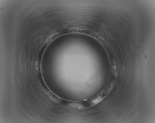 X0000087530708200704271207